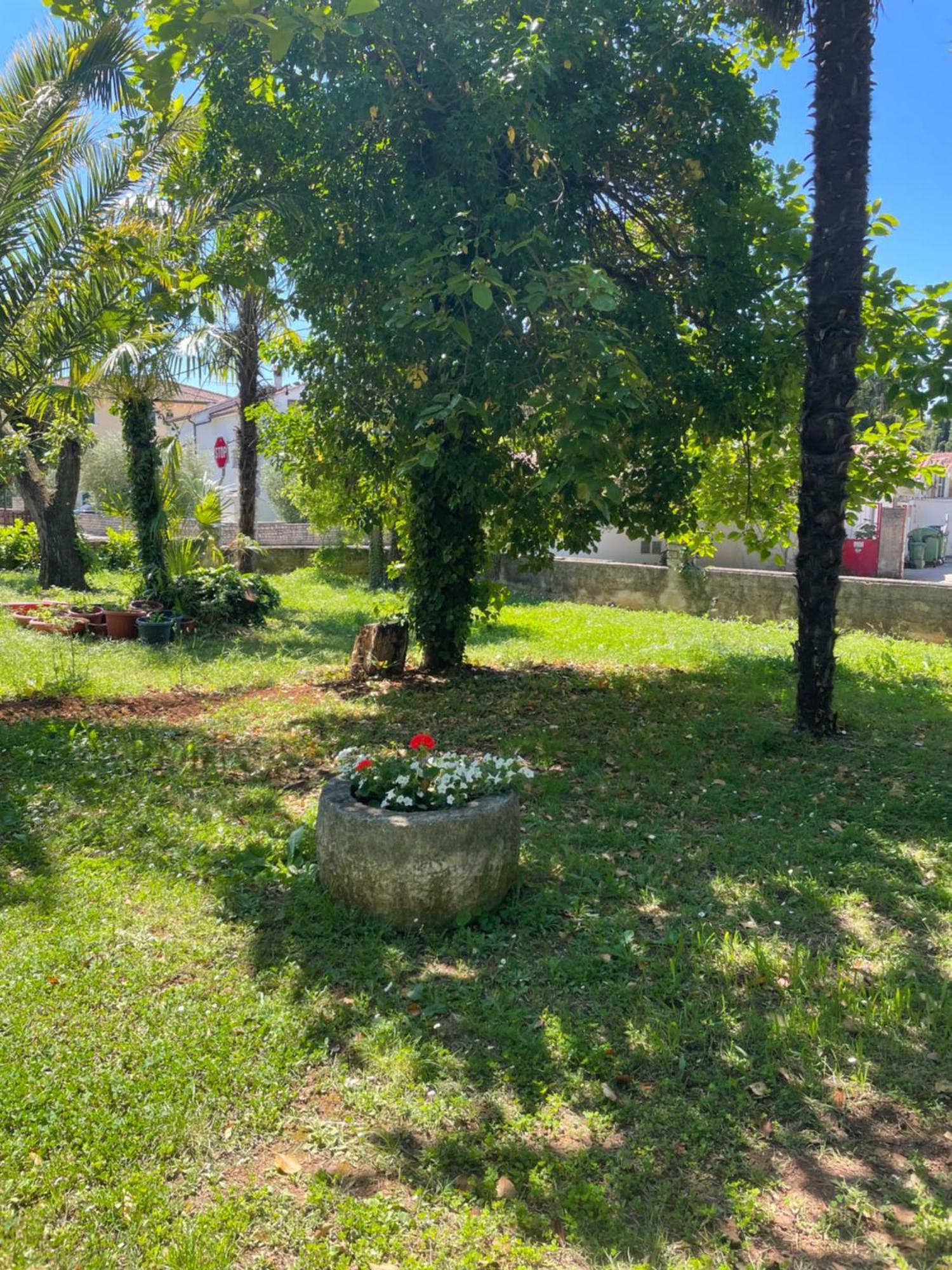 Apartments Bloom Near The Beach Porec Exterior photo
